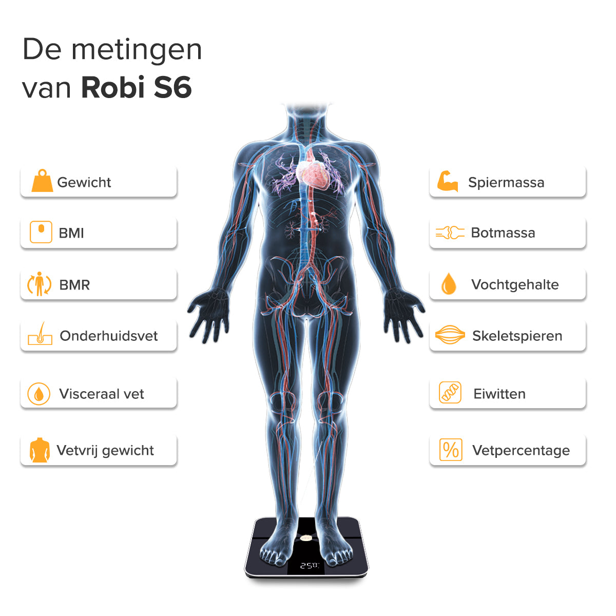 Robi S6 Personenweegschaal